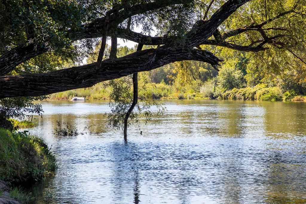 Hotel Du Cros D'Auzon Saint-Maurice-d'Ardeche Экстерьер фото